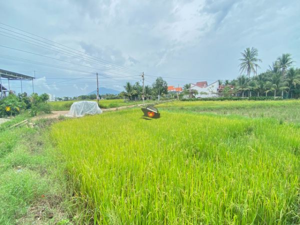 Private Tour Explore Real Countryside Of Nha Trang